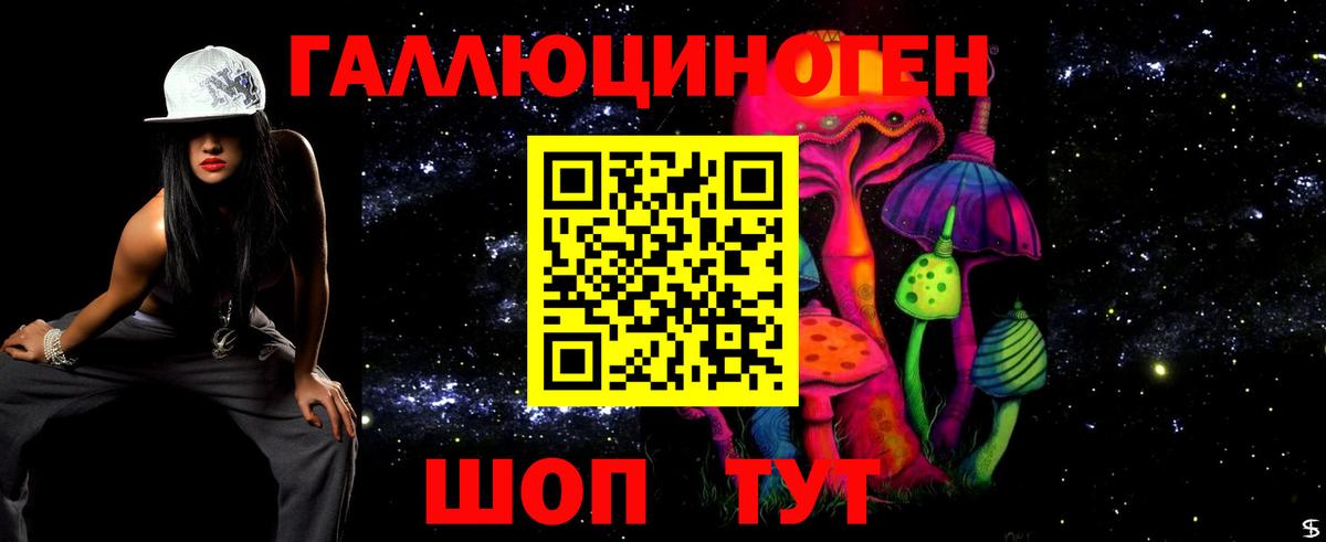 продажа наркотиков  Вход с VPN  Шуя  Галлюциногенные грибы прущие грибы 